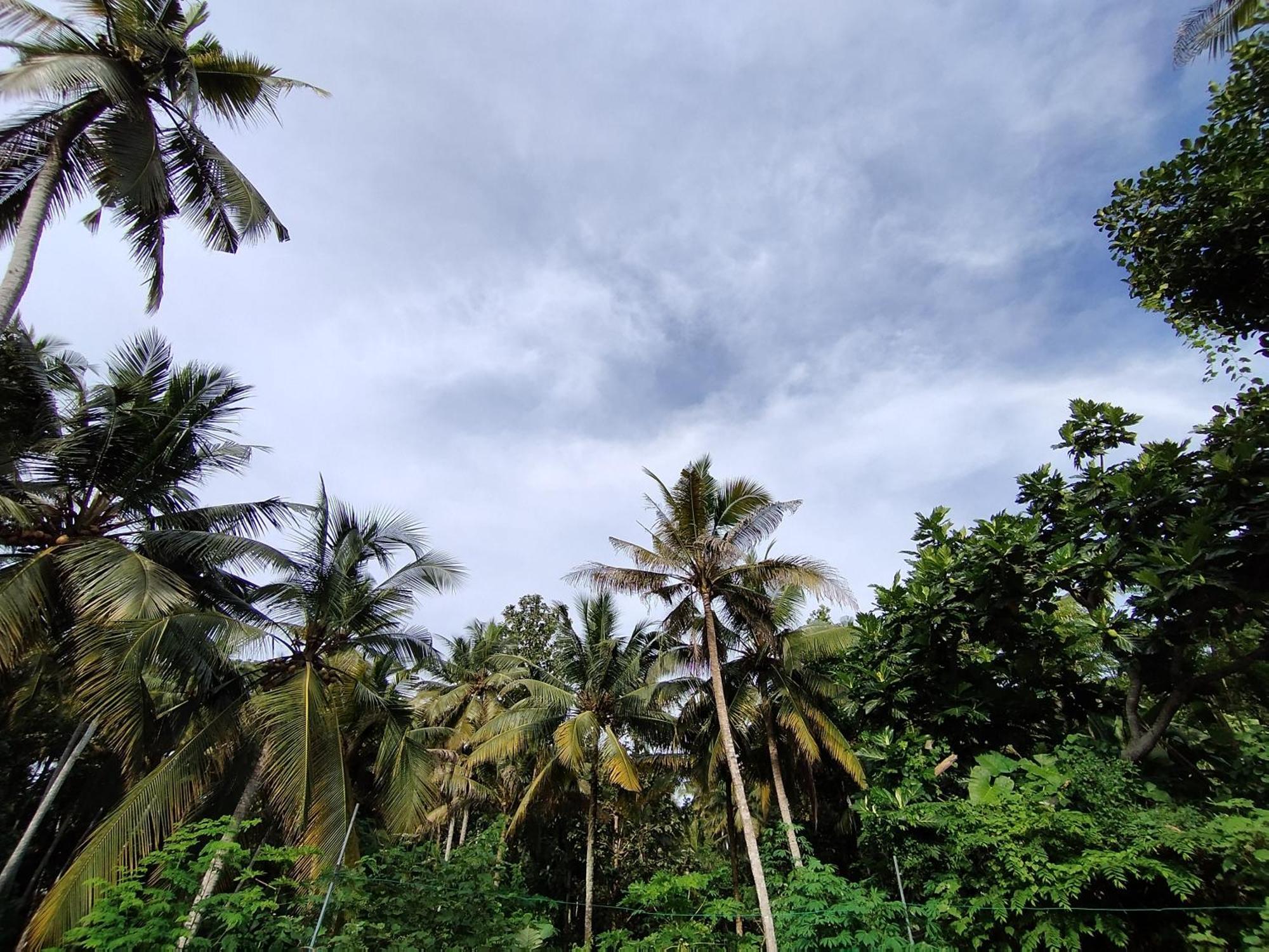 Greenview Homestay Kovalam Тривандрум Экстерьер фото
